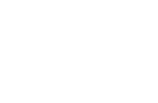 Bluesea Logo